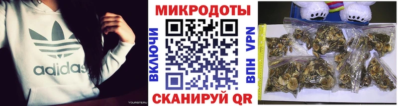 Галлюциногенные грибы ЛСД Междуреченск