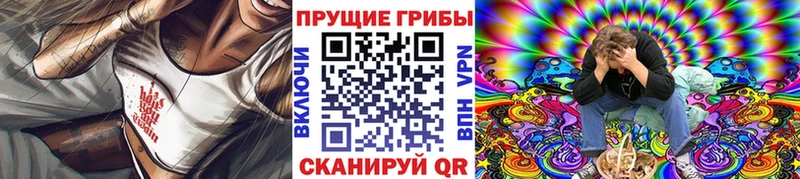где найти наркотики  Междуреченск  Псилоцибиновые грибы ЛСД 